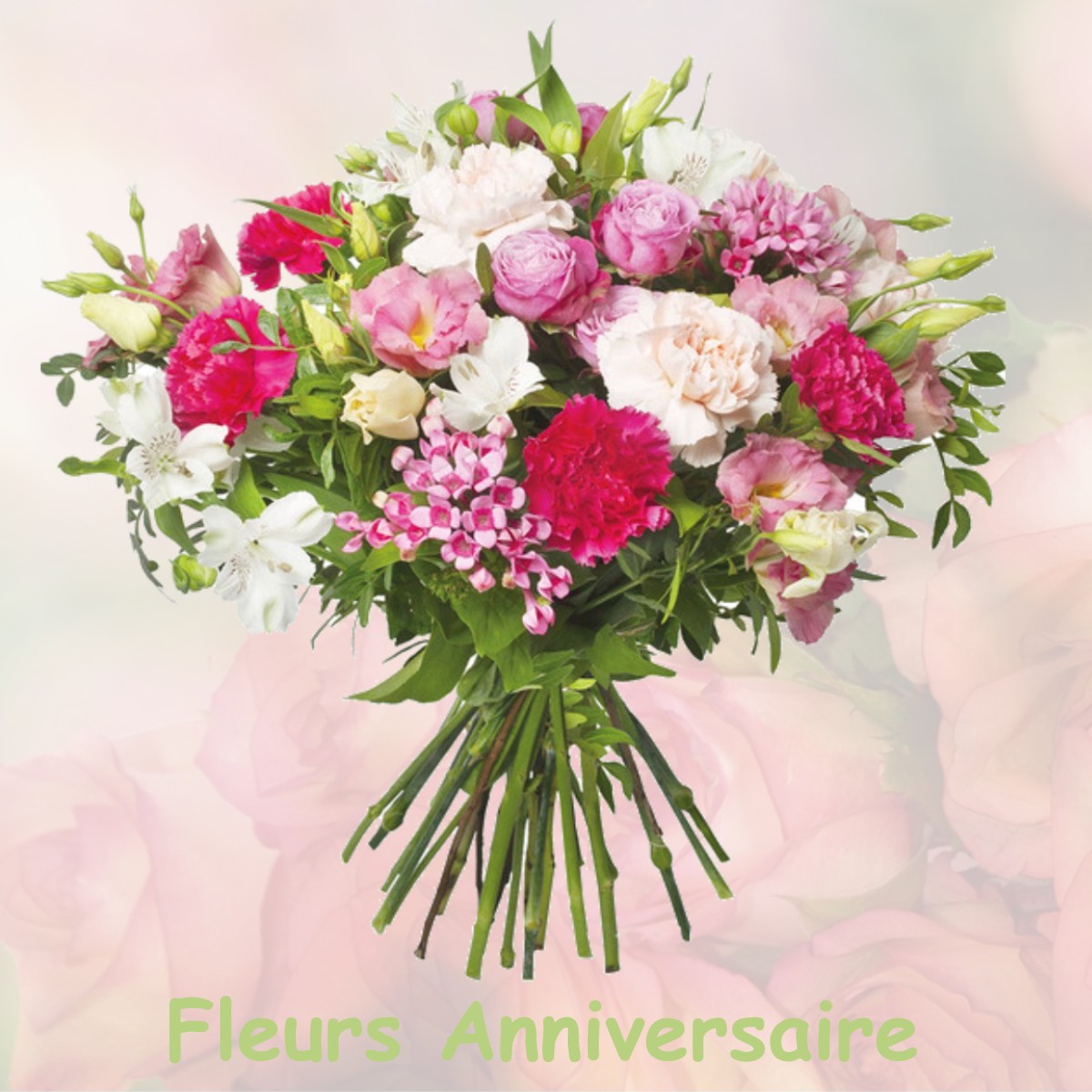 fleurs anniversaire SAINT-ROMAIN-SUR-CHER